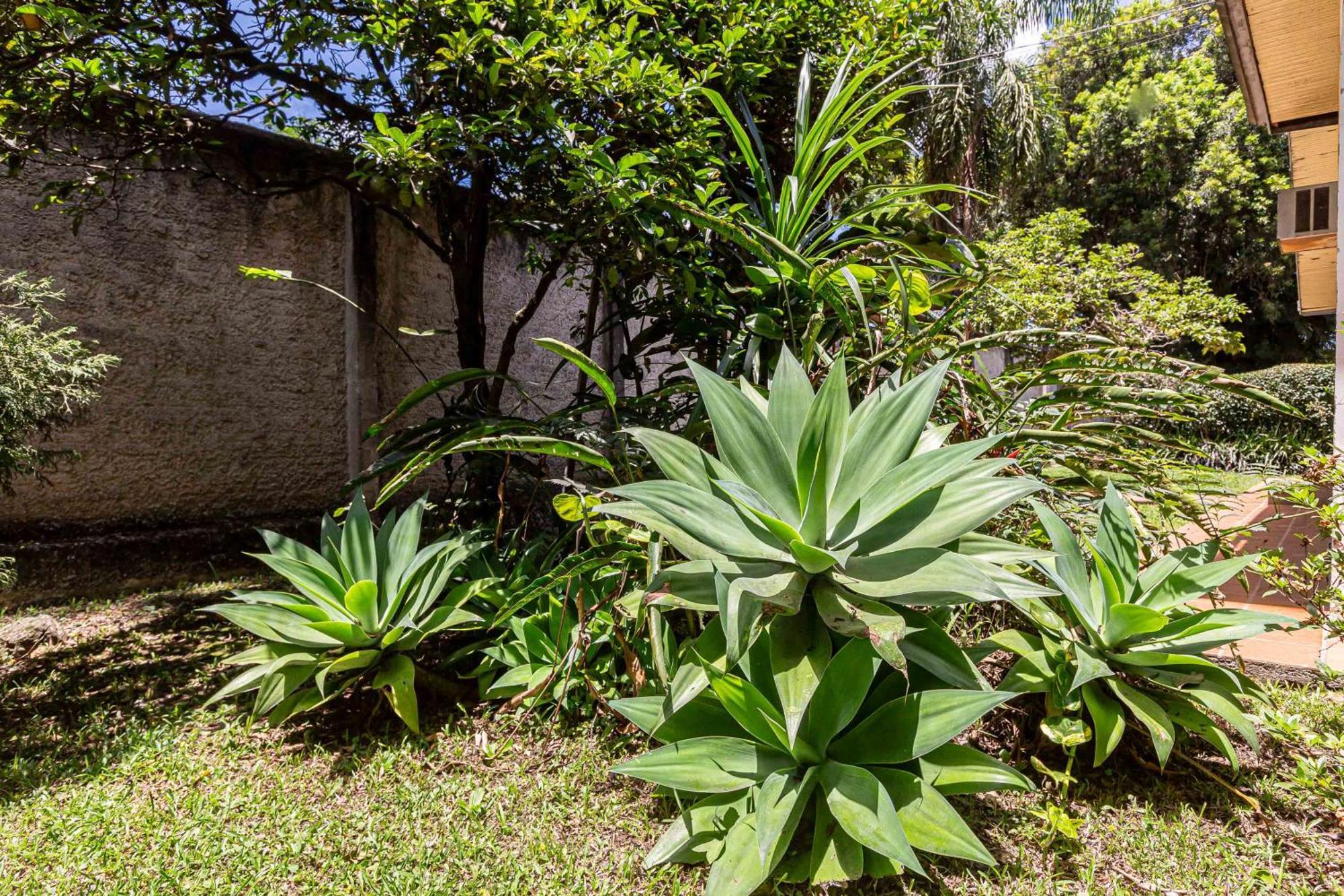 Memora Guesthouse Curitiba - Quartos Em Casa Proximo Ao Parque Bacacheri Luaran gambar